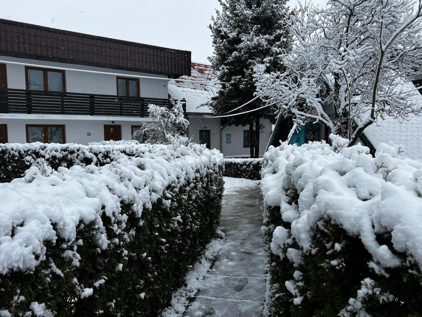 Pensiunea Bavaria Campina Hotel Exterior photo