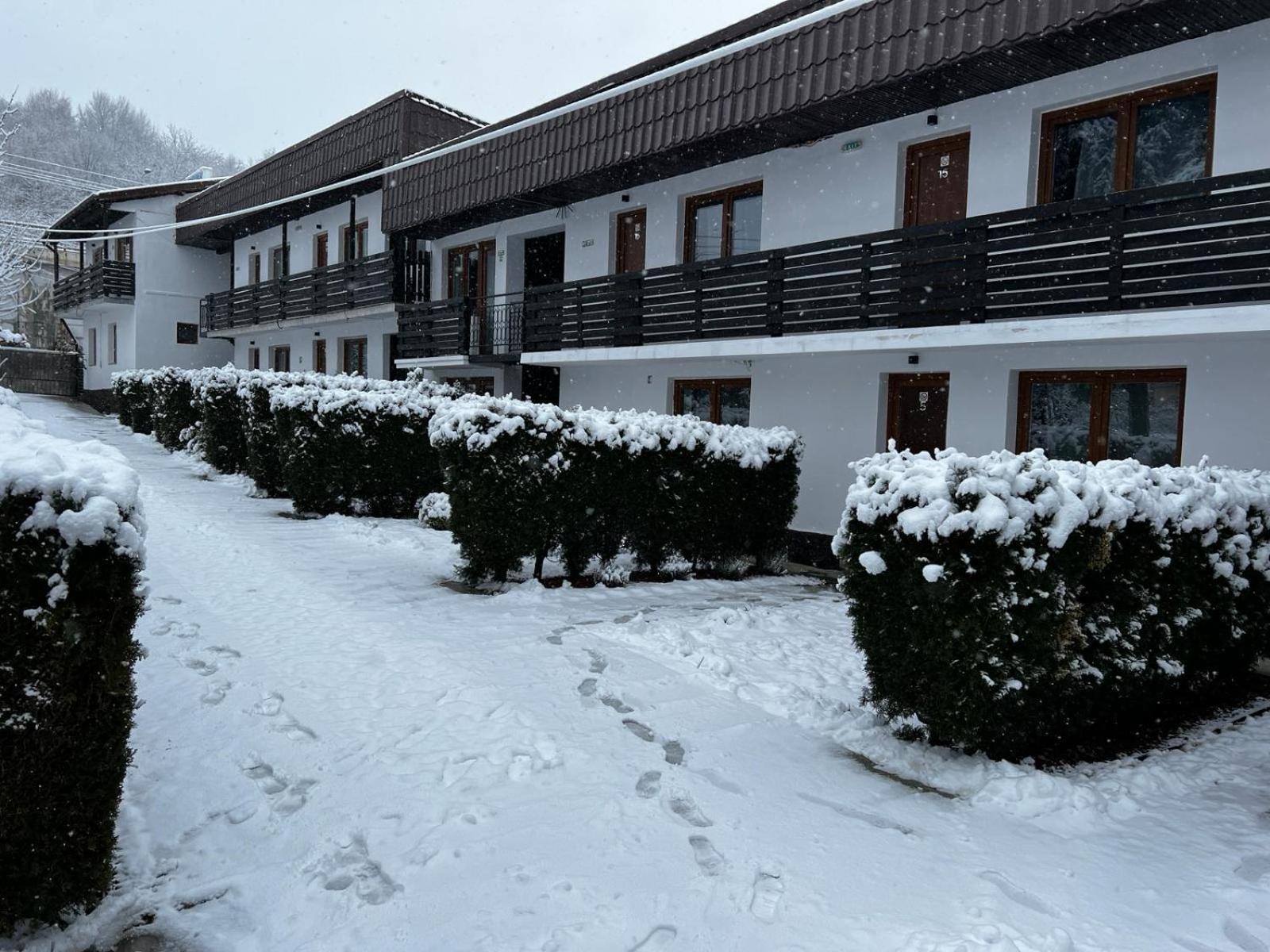 Pensiunea Bavaria Campina Hotel Exterior photo