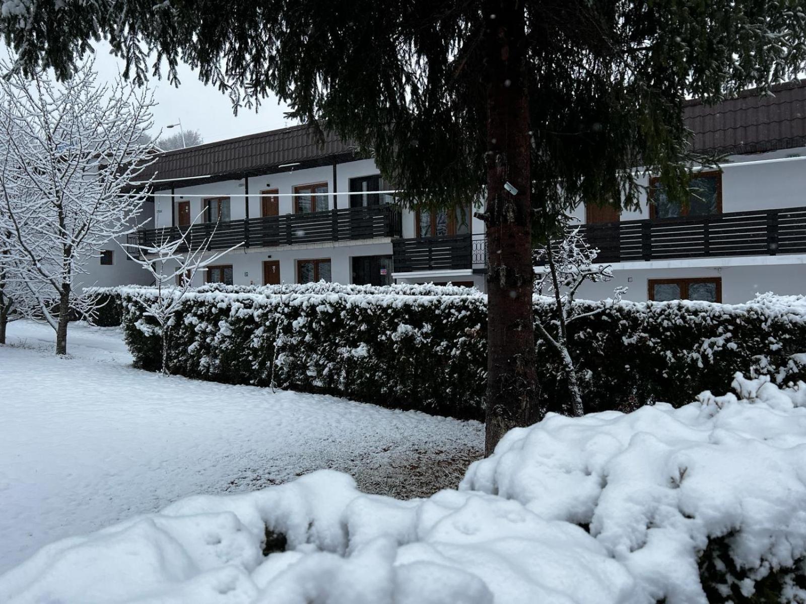 Pensiunea Bavaria Campina Hotel Exterior photo